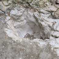 2025-05-10 Maibachl Wanderung