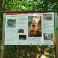 2025-06-25 Wanderung Travis-Monte Palla Luchs Trial-Pizza in Valbrunna (4)