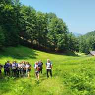 2025-06-25 Wanderung Travis-Monte Palla Luchs Trial-Pizza in Valbrunna (8)