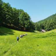2025-06-25 Wanderung Travis-Monte Palla Luchs Trial-Pizza in Valbrunna (9)